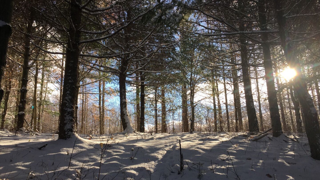 Photo of Others in Huberdeau
