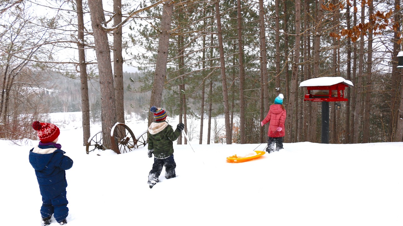 Photo of Others in Huberdeau