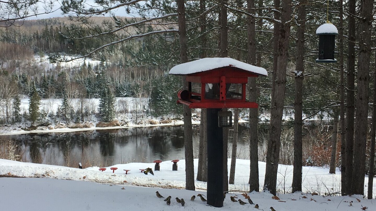 Photo of Others in Huberdeau