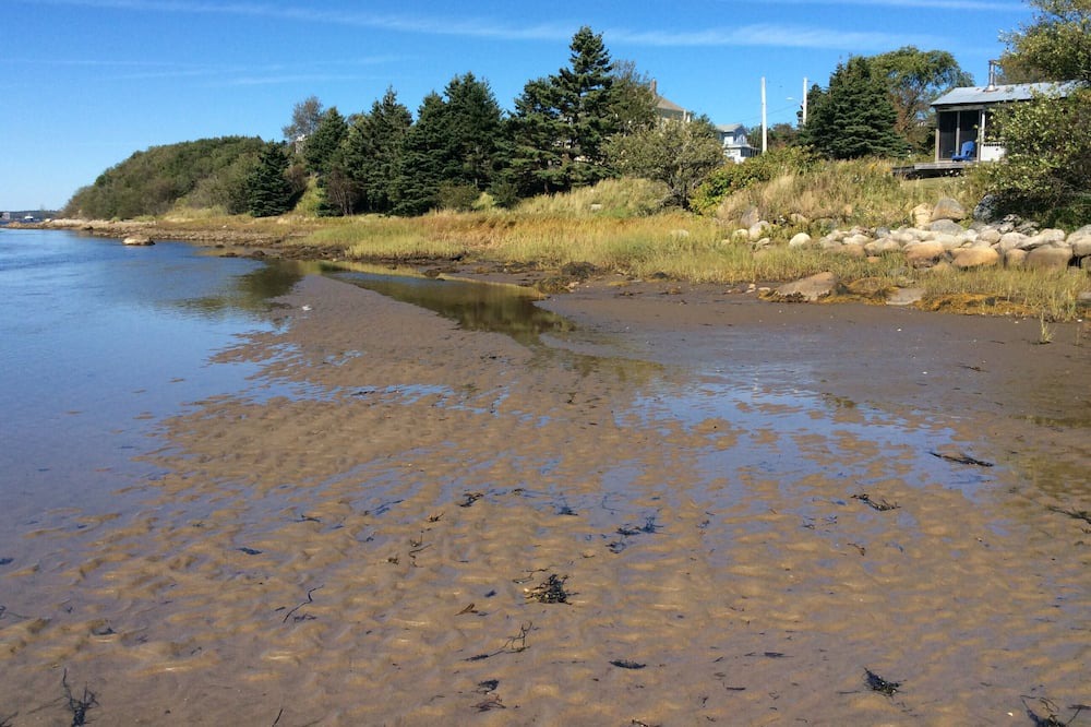Photo of Others in Lower LaHave