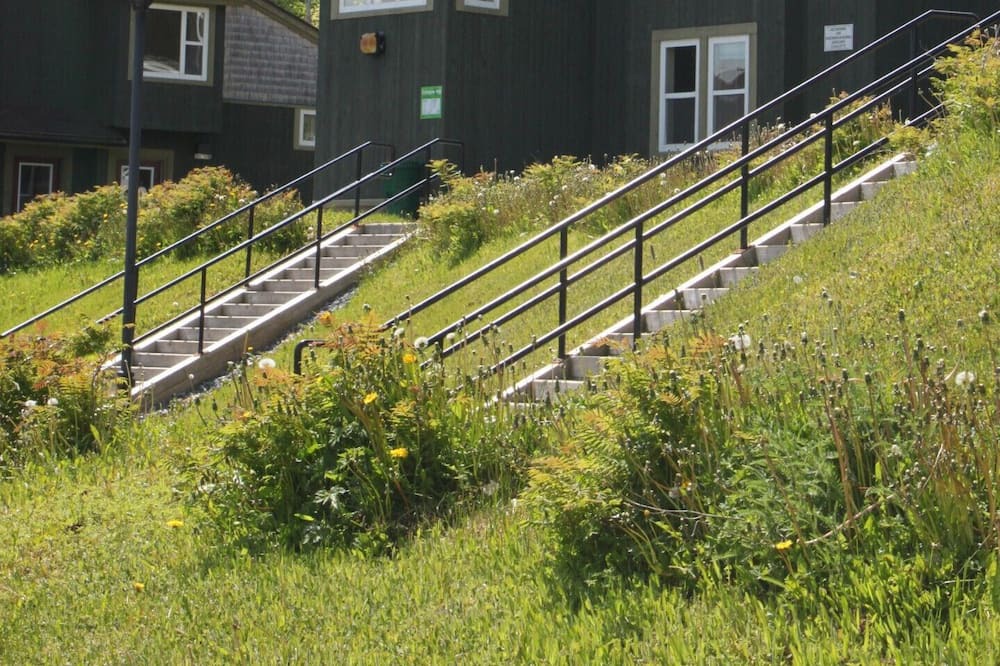 Photo of Others in Corner Brook