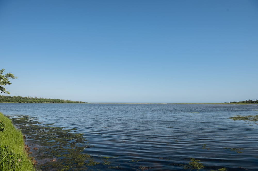 Photo of Others in Eastern Passage