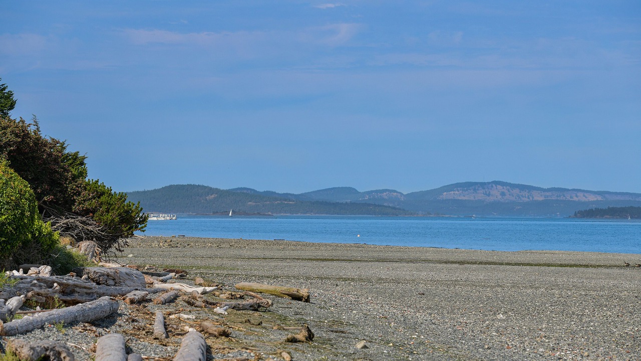 Photo of Others in Sidney