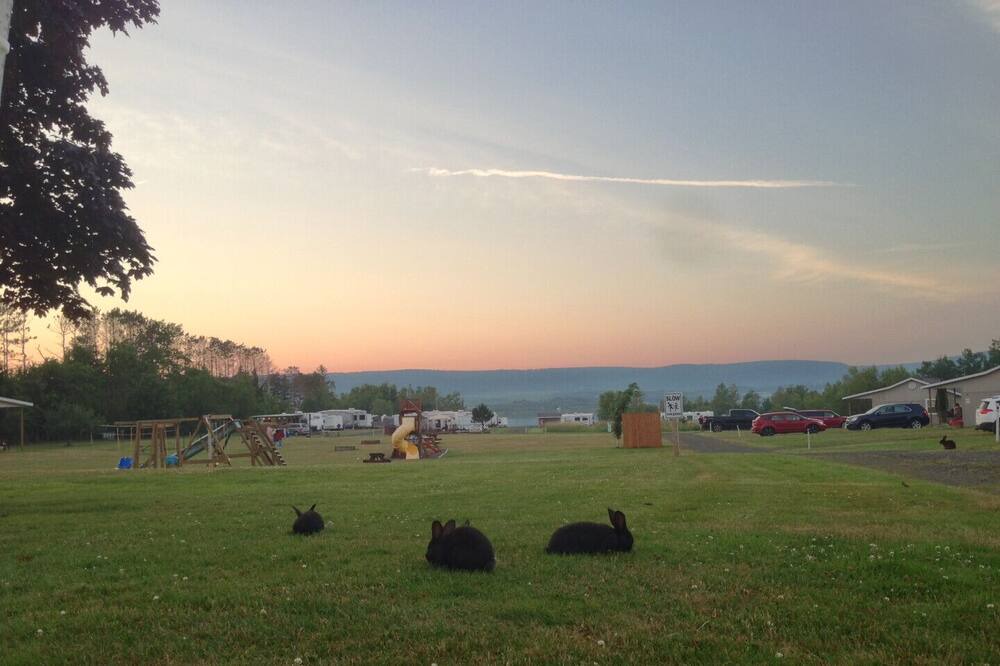 Photo of Others in Annapolis Royal