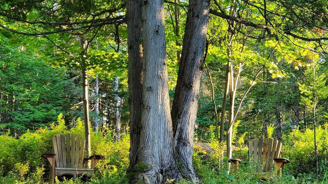 Photo of Outdoor in Mont-Tremblant