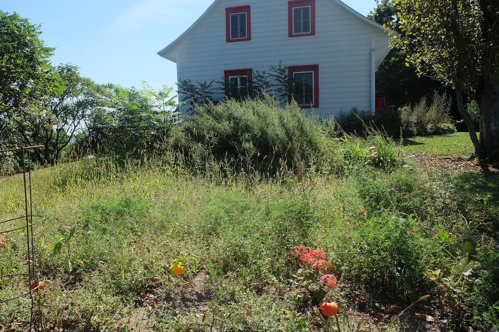 Photo of Outdoor in Sainte-Croix