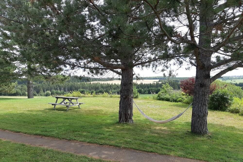 Photo of Outdoor in New London