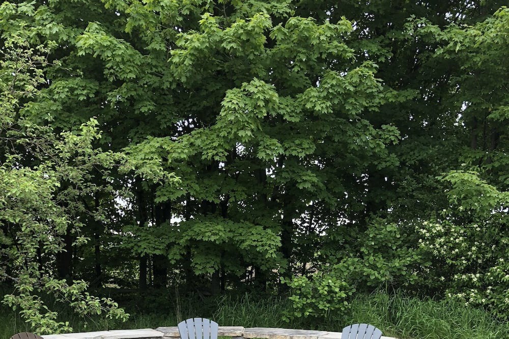 Photo of Patio Balcony in Milford