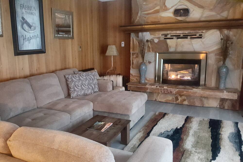 Photo of Livingroom in Nelson
