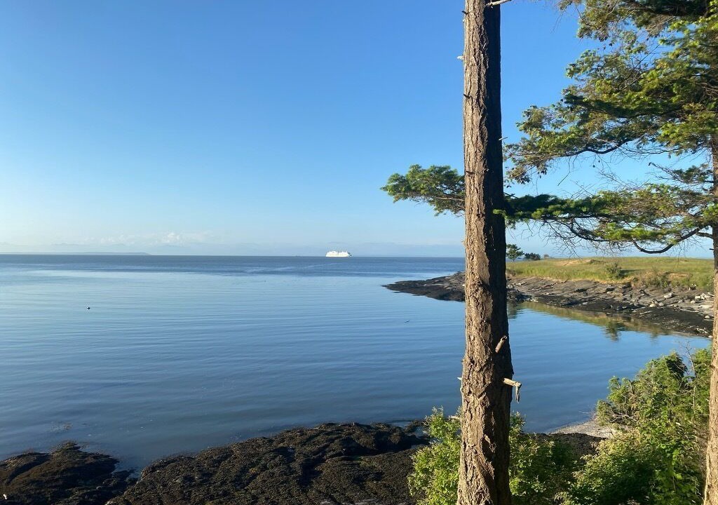 Photo of Others in Saturna Island