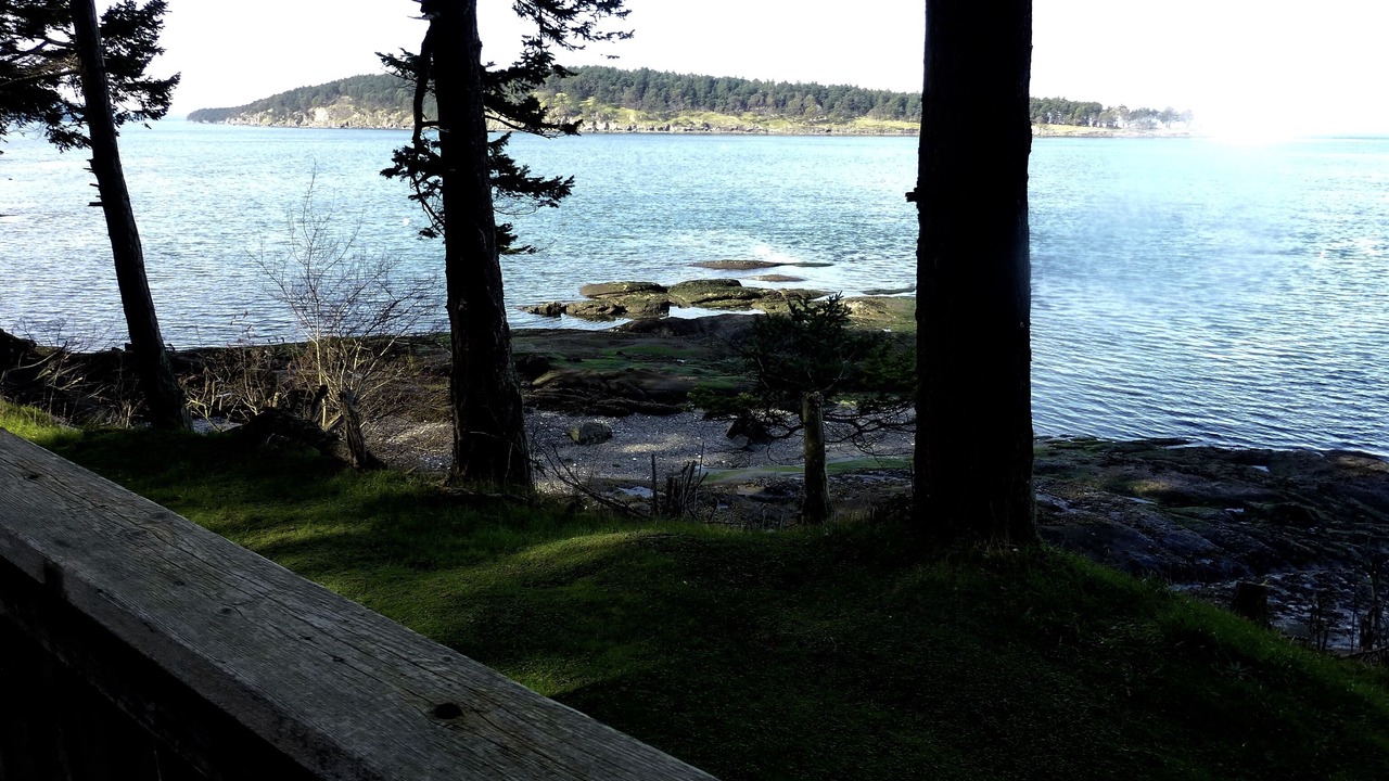 Photo of Outdoor in Saturna Island
