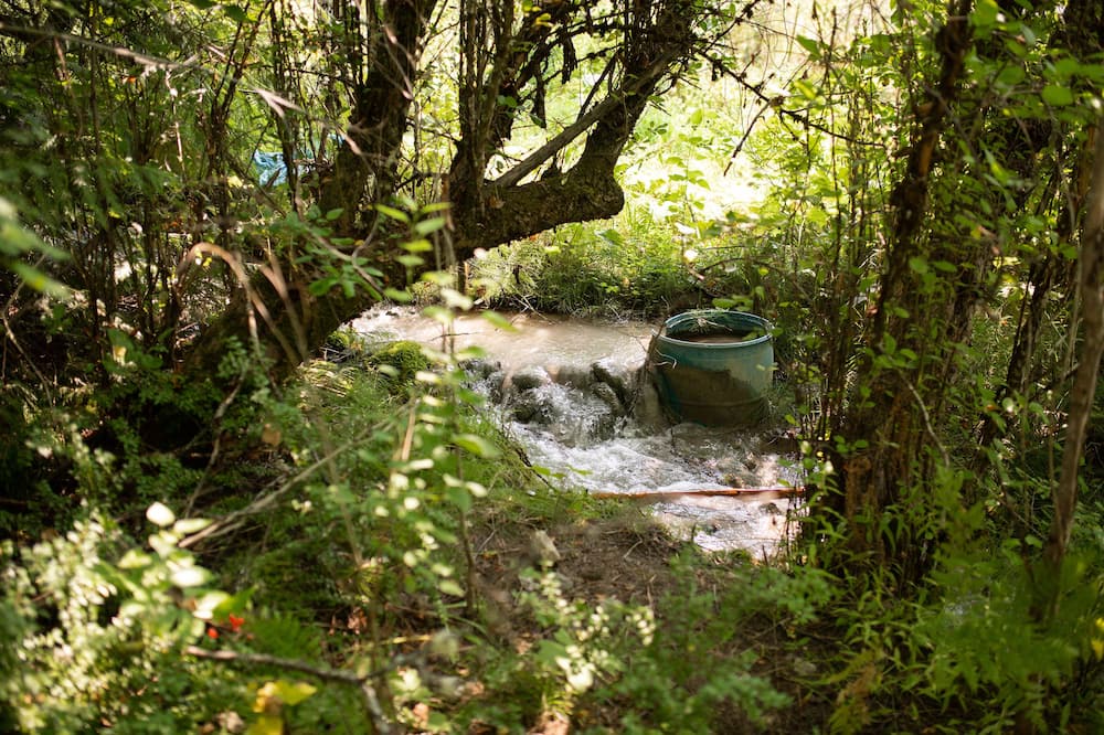 Photo of Outdoor in Mara