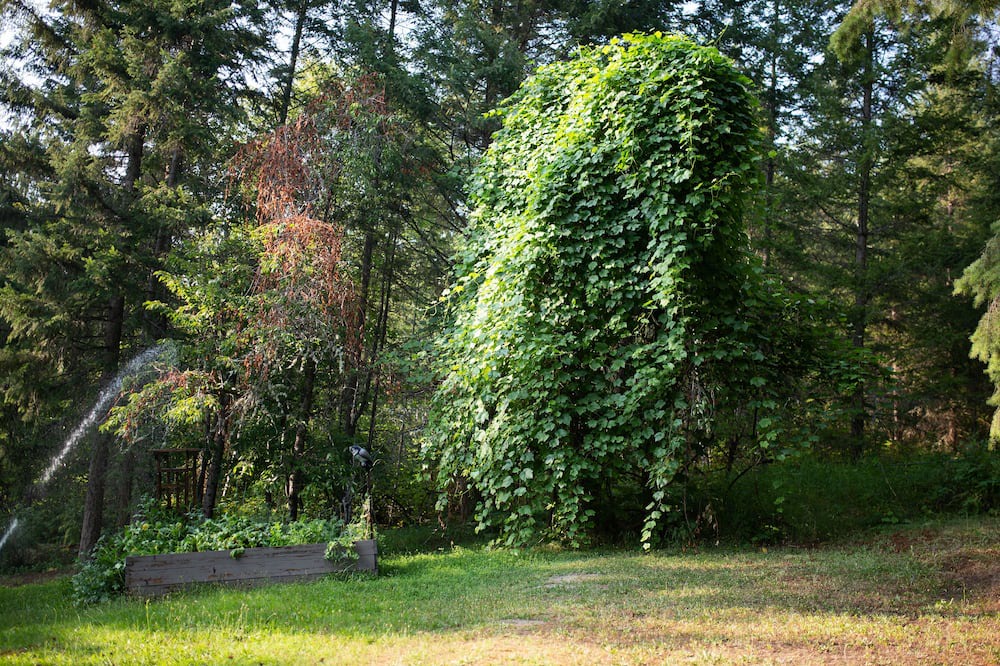 Photo of Outdoor in Mara