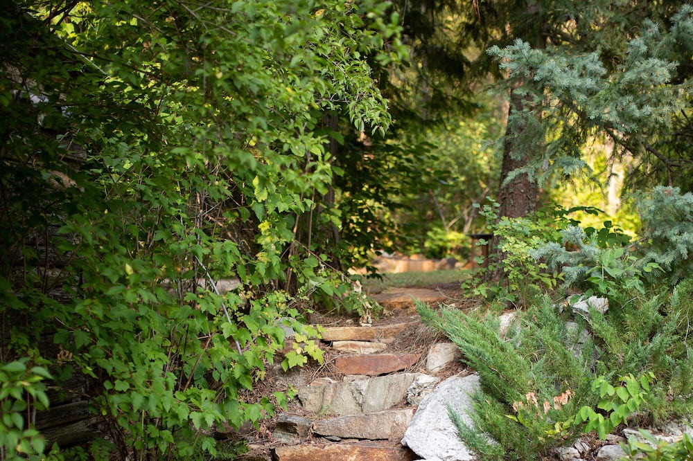 Photo of Outdoor in Mara