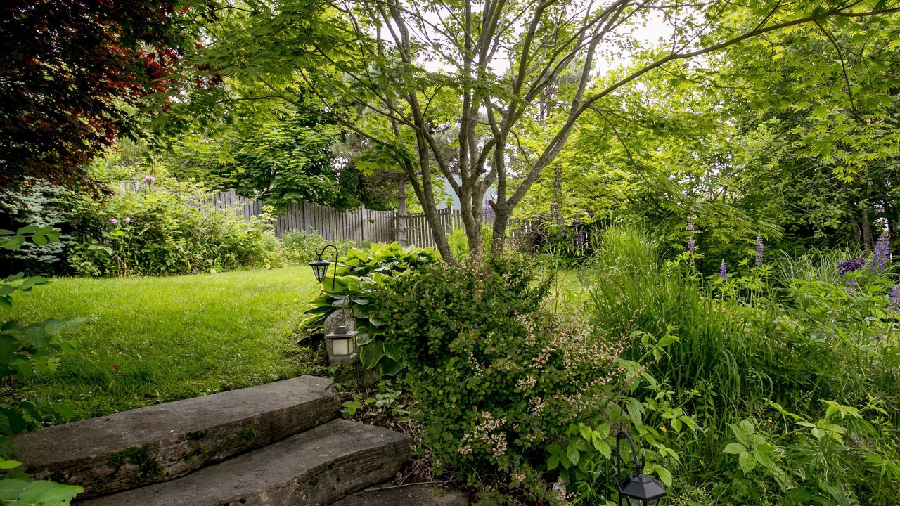 Photo of Outdoor in Chester