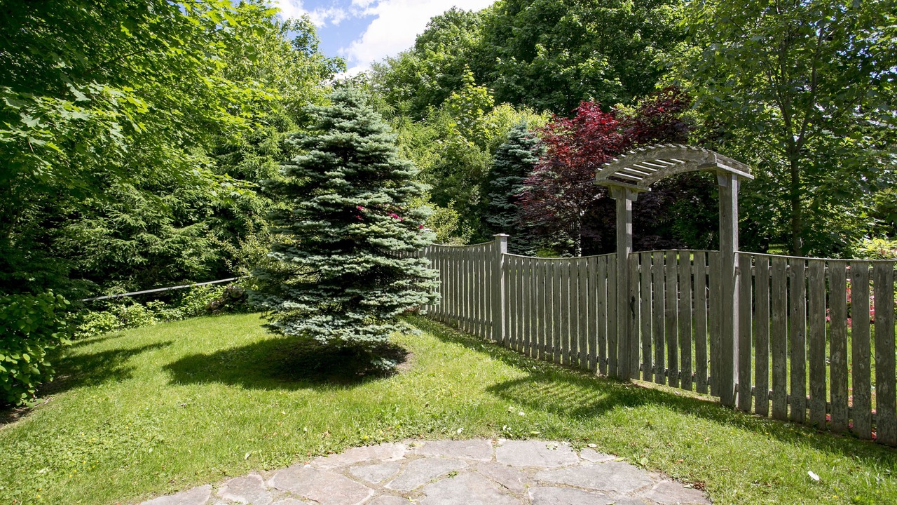 Photo of Outdoor in Chester