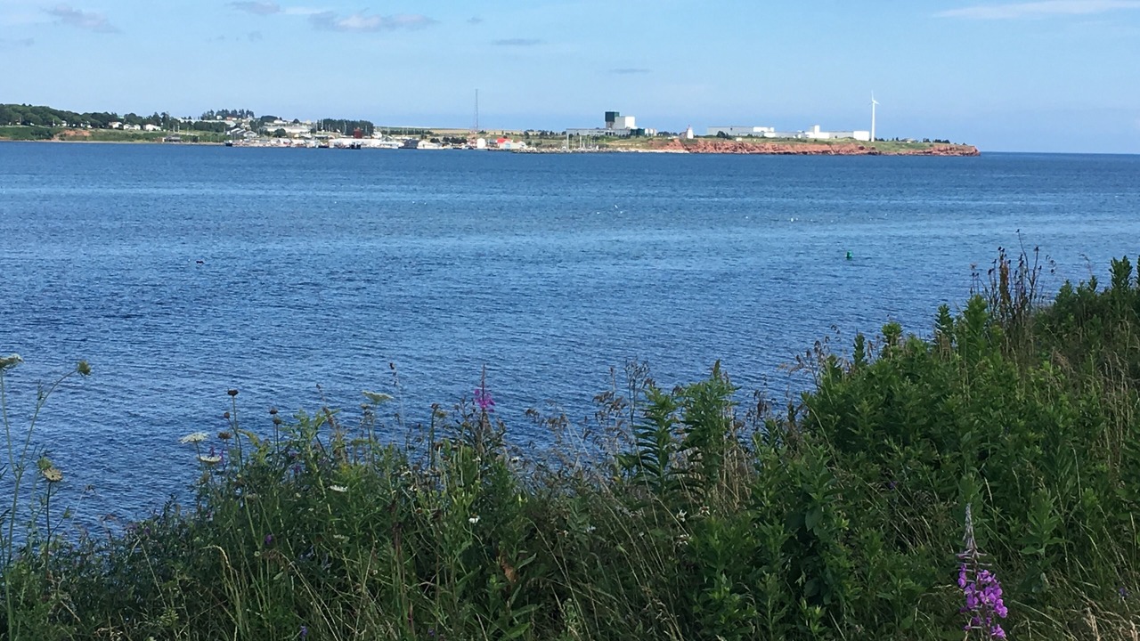 Photo of Others in Souris