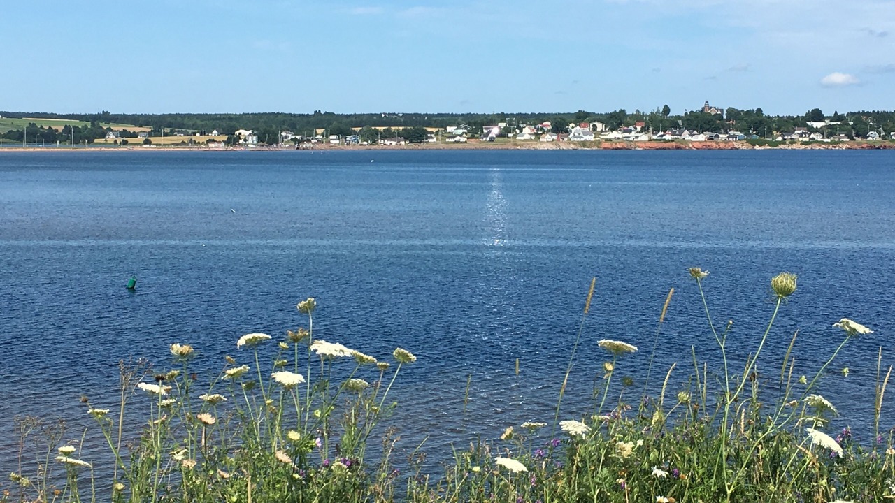 Photo of Others in Souris