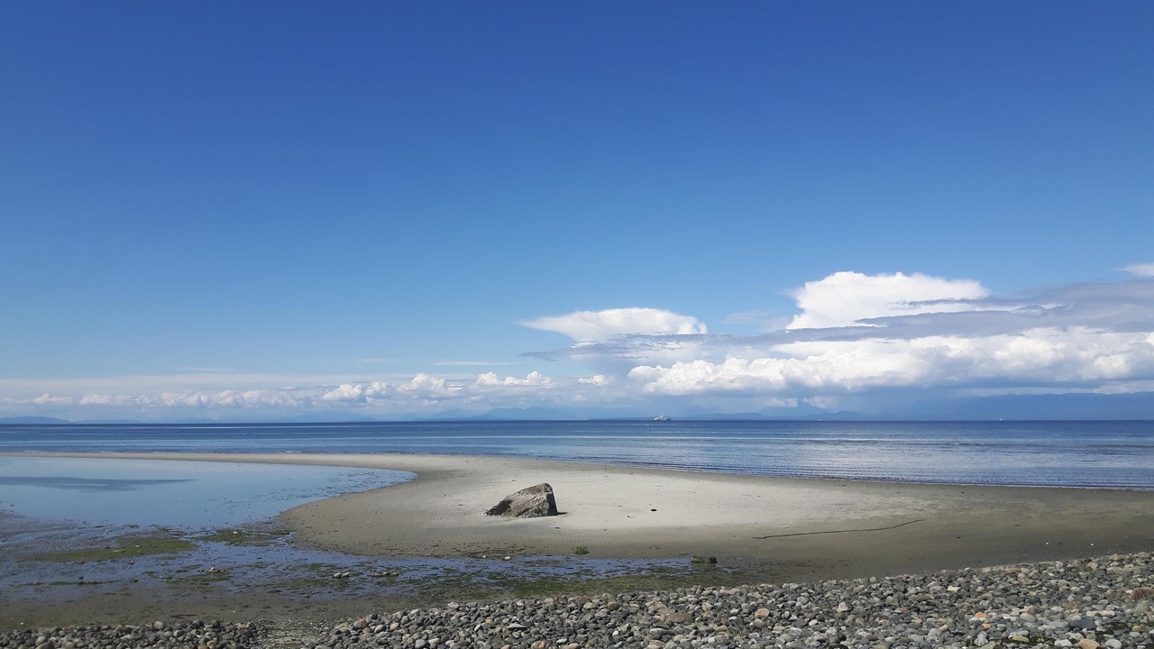 Photo of Others in Comox