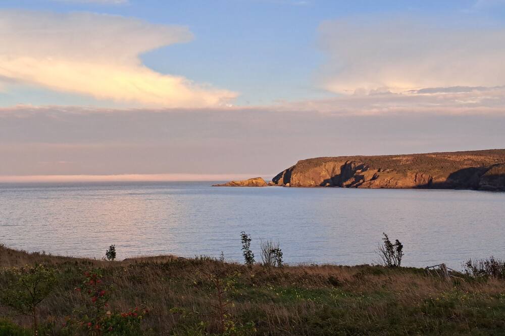 Photo of Others in Pouch Cove