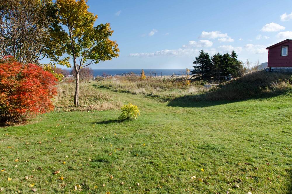 Photo of Others in Pouch Cove