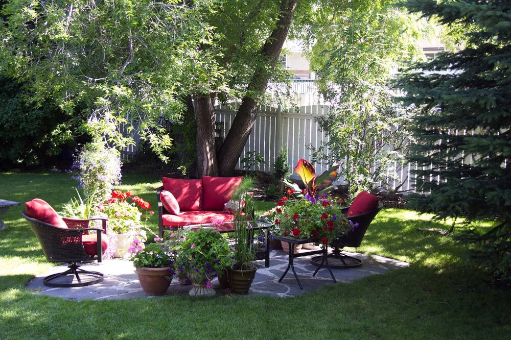 Photo of Others in Red Deer