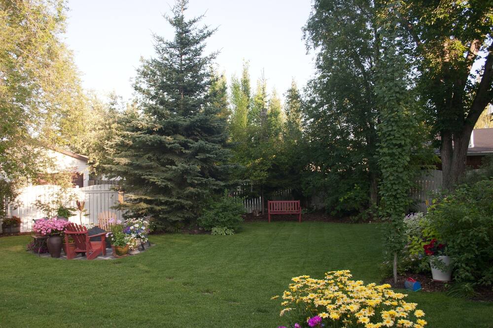 Photo of Others in Red Deer