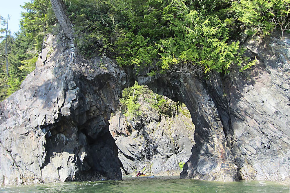 Photo of Others in Port Renfrew