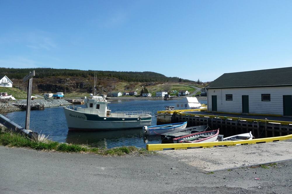 Photo of Others in Brigus South