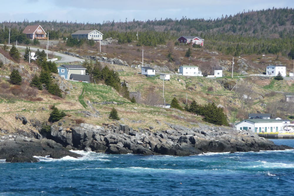 Photo of Others in Brigus South