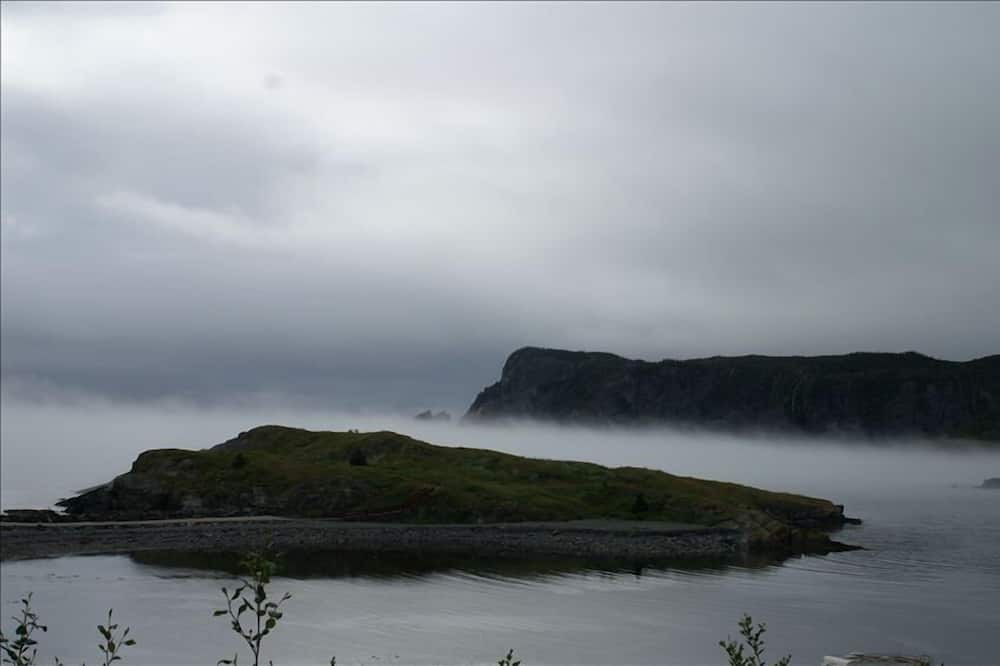 Photo of Others in Brigus South