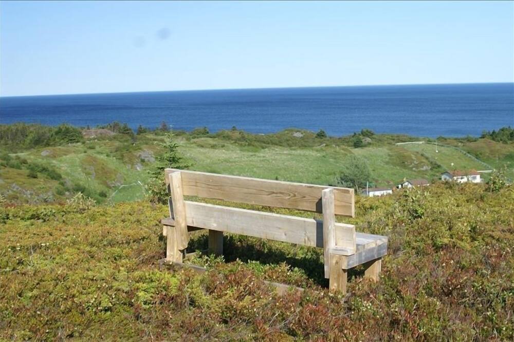 Photo of Others in Brigus South