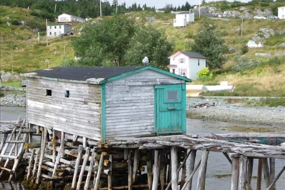 Photo of Others in Brigus South