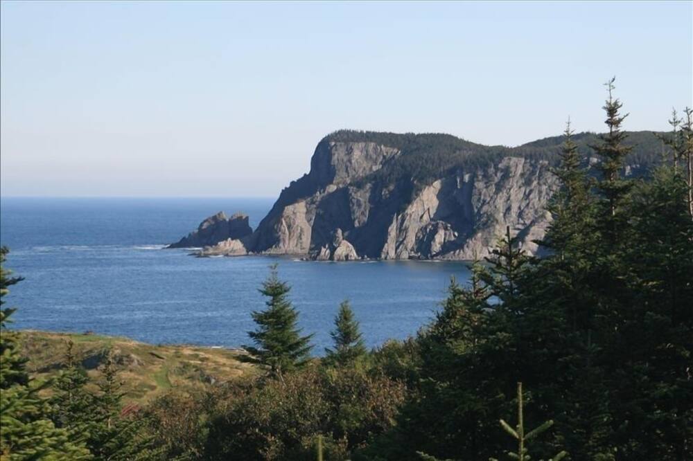 Photo of Others in Brigus South