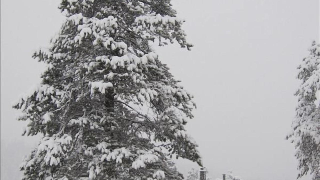 Photo of Outdoor in Jasper