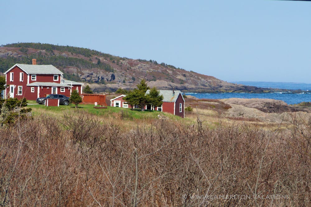 Photo of Others in Sampson Cove