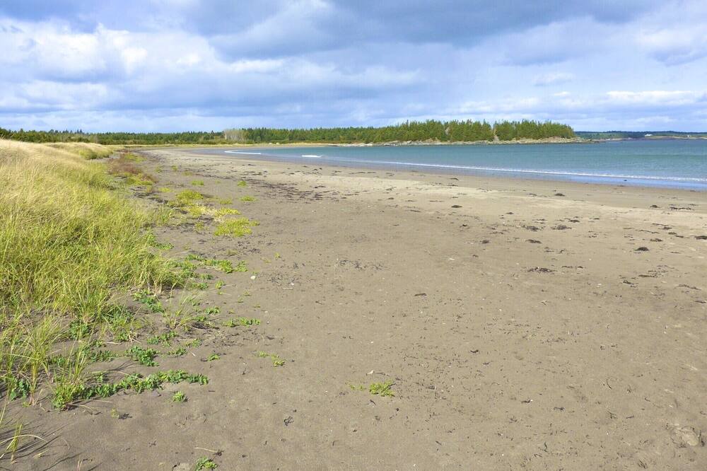 Photo of Others in Sampson Cove