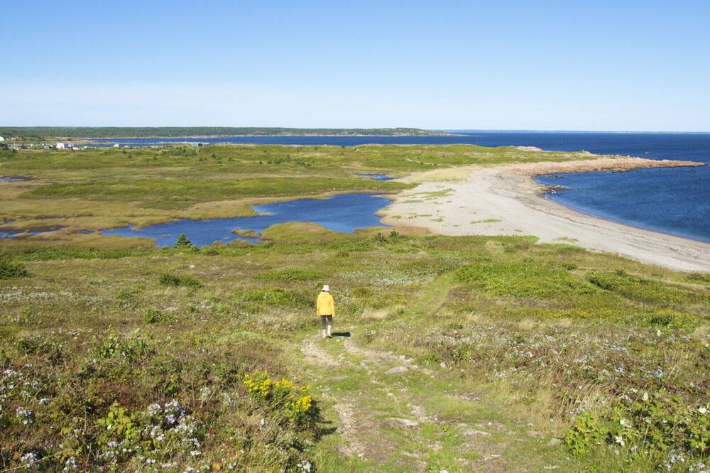 Photo of Others in Sampson Cove