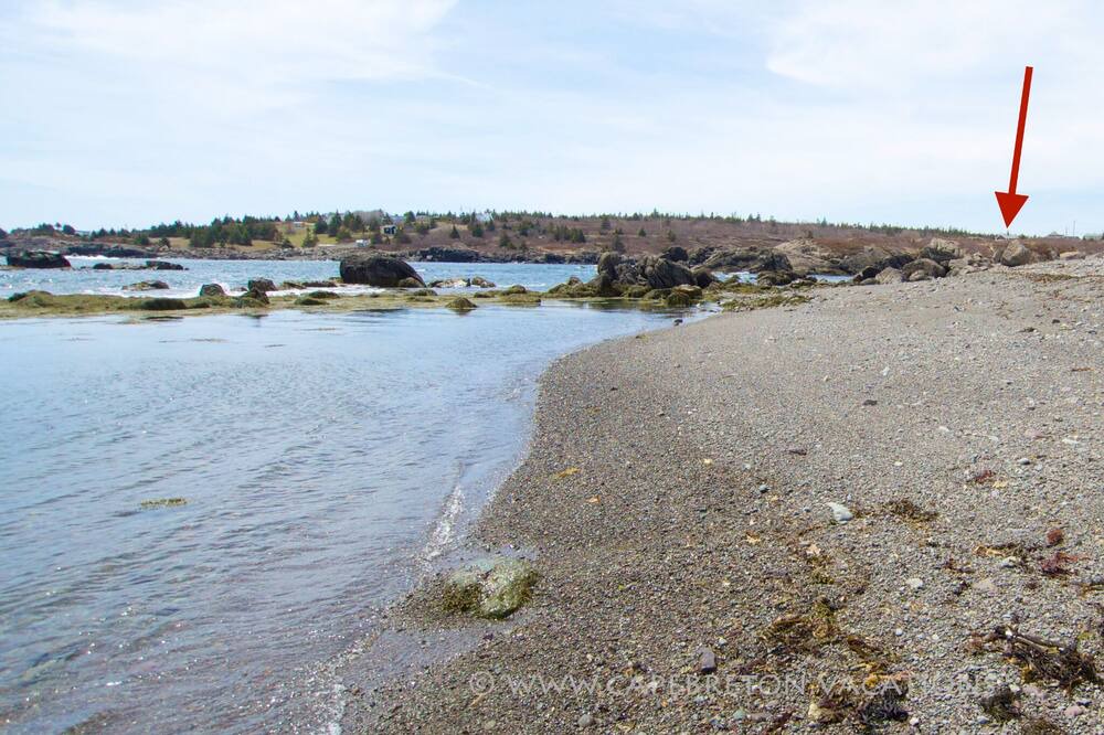 Photo of Others in Sampson Cove