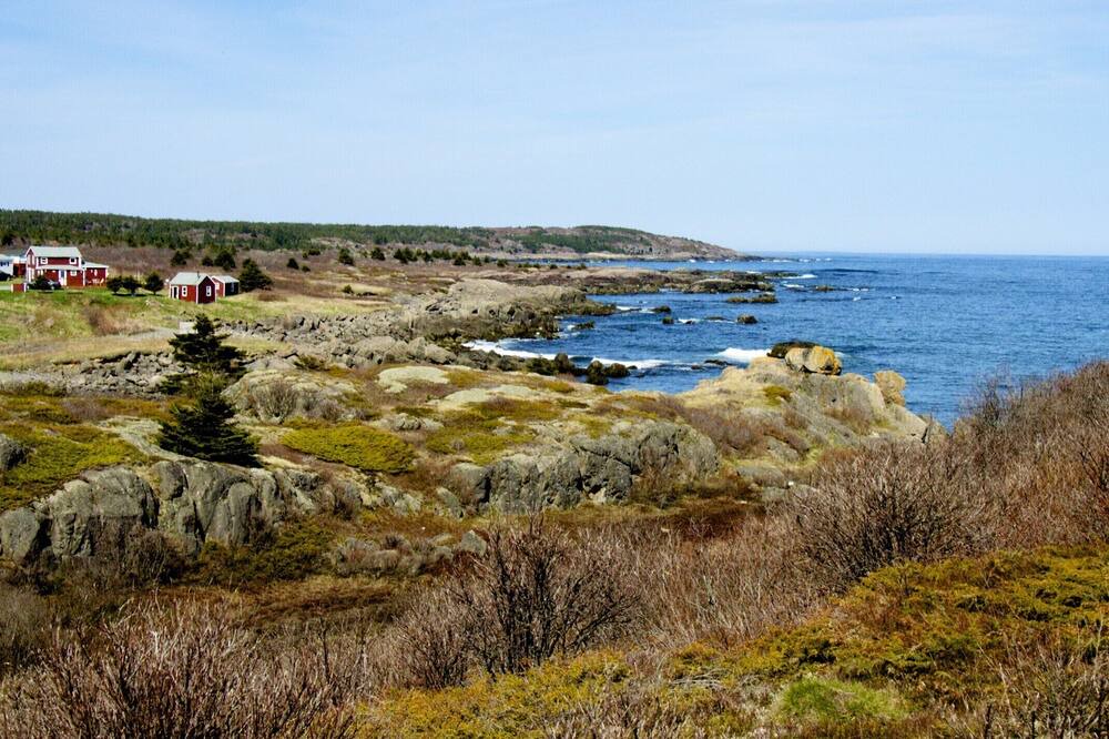 Photo of Others in Sampson Cove