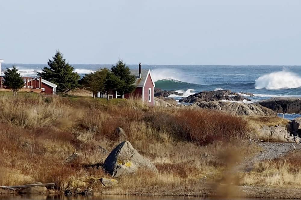 Photo of Others in Sampson Cove