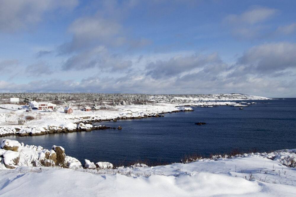 Photo of Others in Sampson Cove