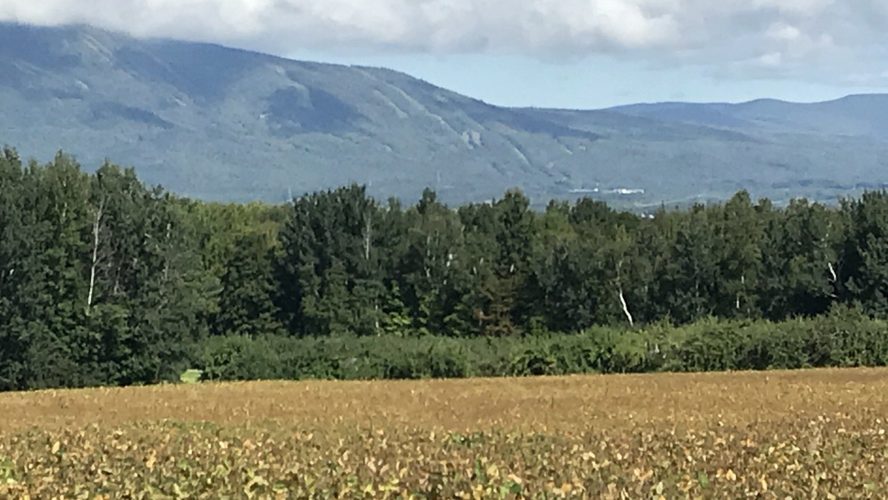 Photo of Outdoor in Saint-Laurent-de-l'ile d'Orleans