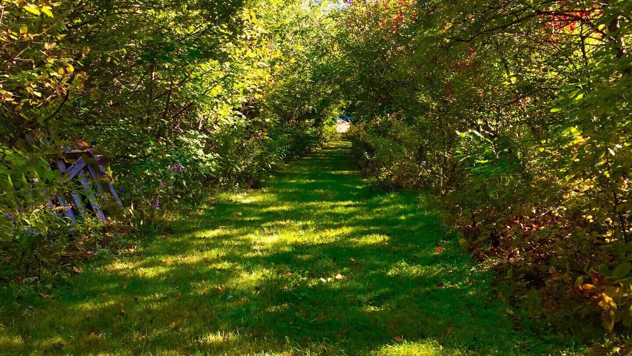 Photo of Outdoor in Shediac
