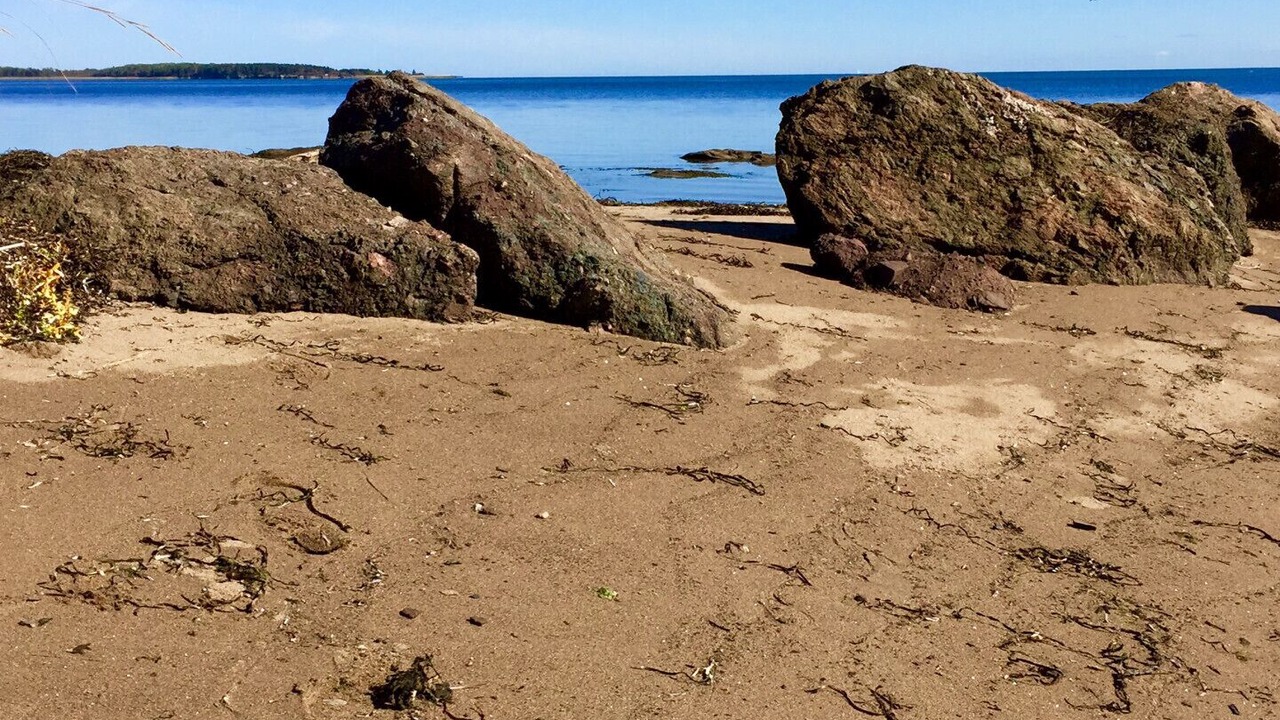 Photo of Others in Shediac