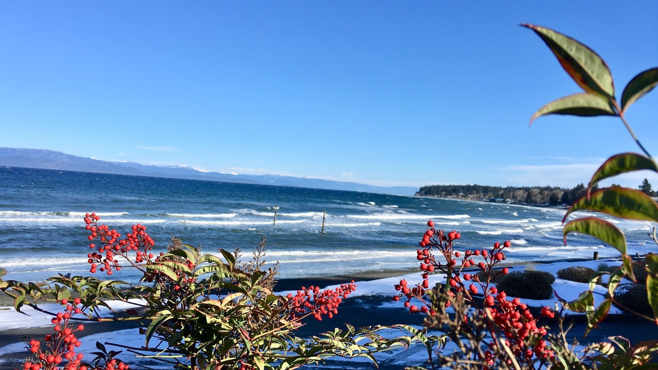 Photo of Patio Balcony in Regional District of Nanaimo