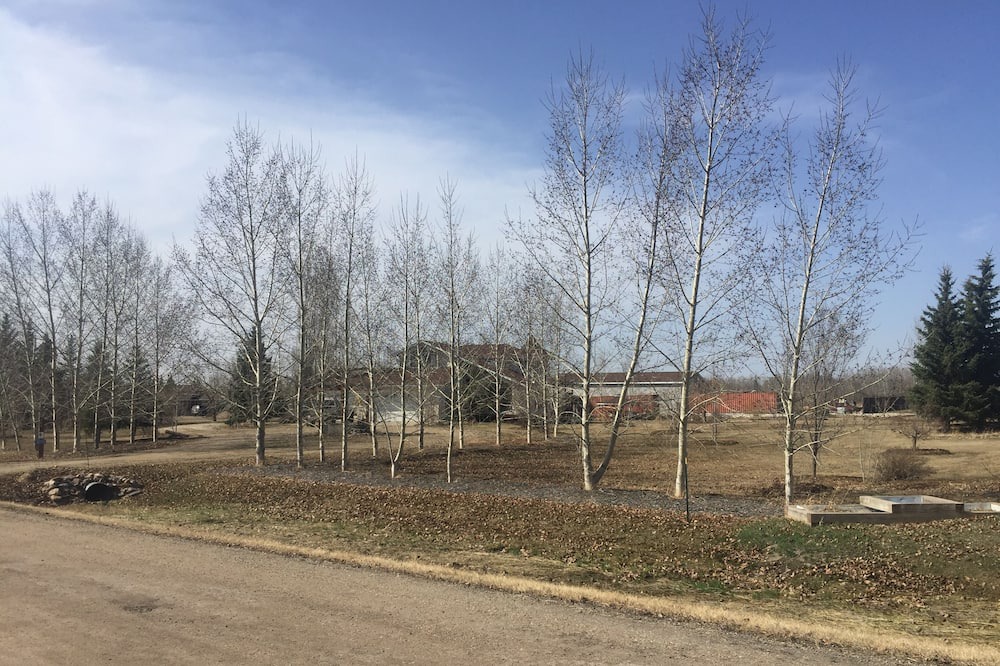 Photo of Others in Leduc County