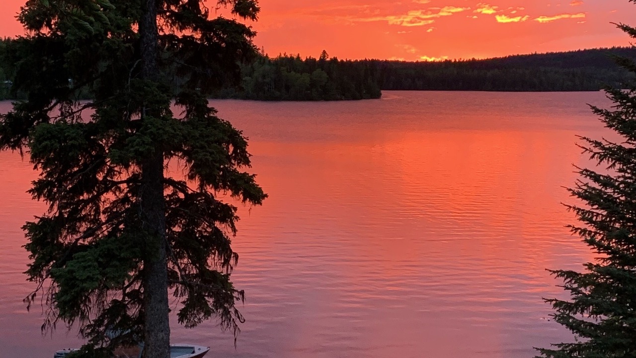 Photo of Others in Bridge Lake