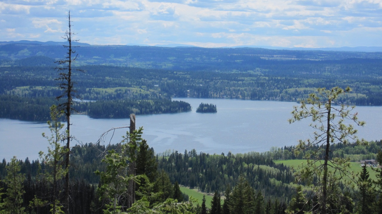 Photo of Others in Bridge Lake