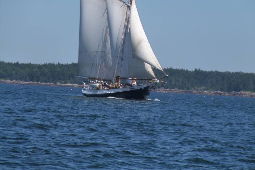 Photo of Others in Mahone Bay